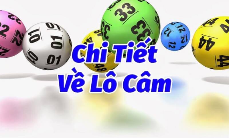 Lô câm Hải Phòng – Thống kê đầu đuôi câm XSHP chuẩn xác nhất